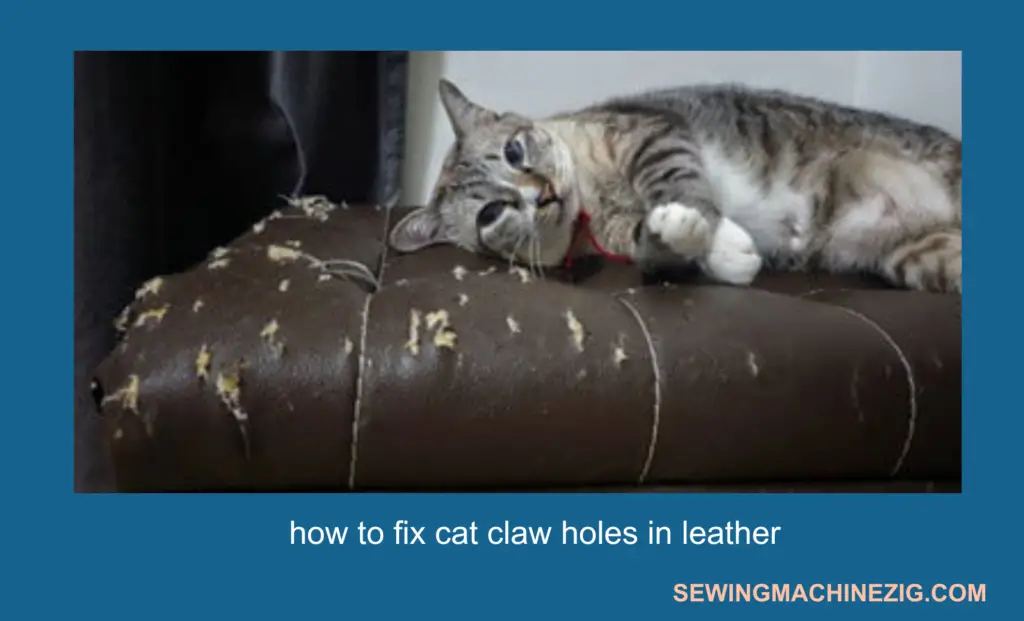 how to fix cat claw holes in leather