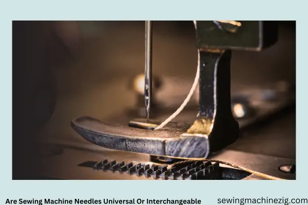 Are Sewing Machine Needles Universal Or Interchangeable