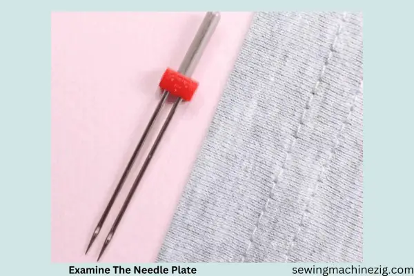 Examine The Needle Plate