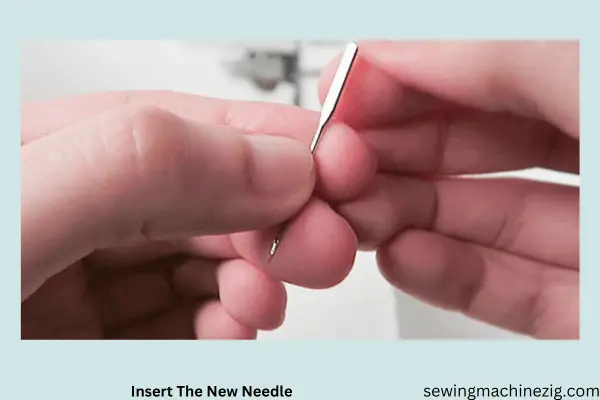 Insert The New Needle