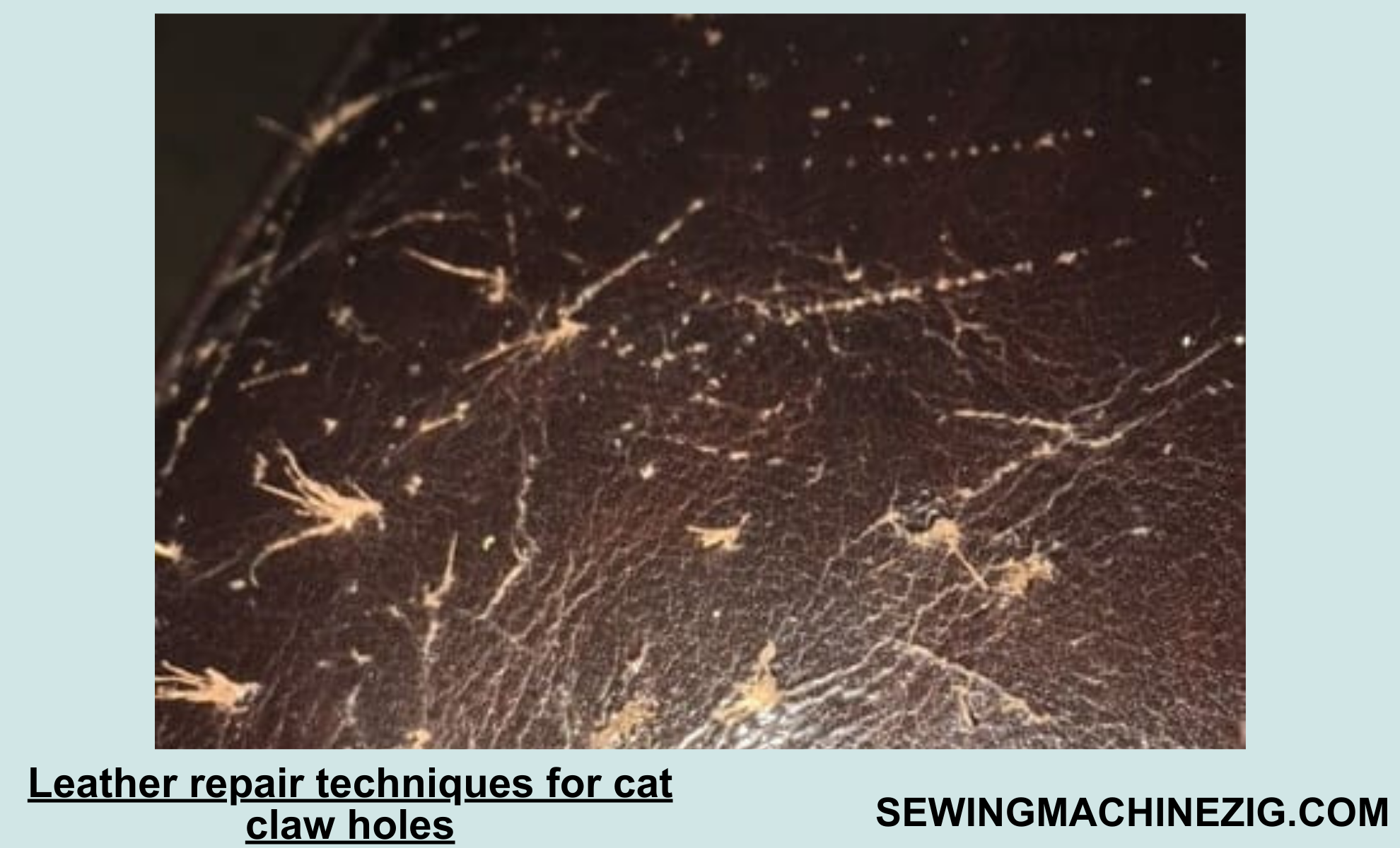 how-to-fix-cat-claw-holes-in-leather-best-methods-2023