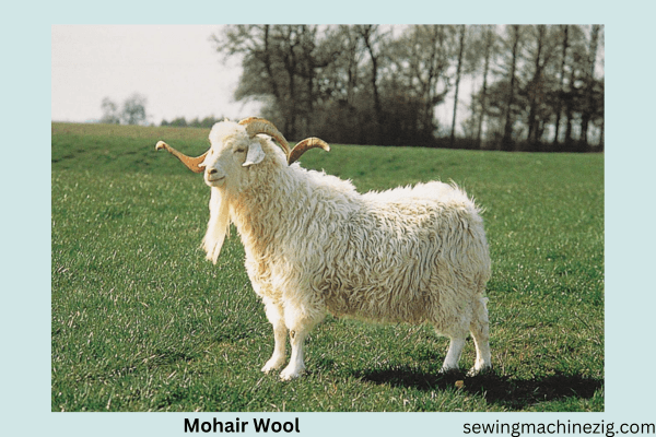 Mohair Wool