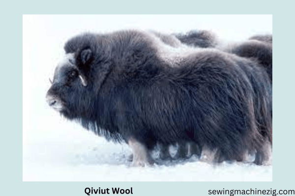 Qiviut Wool