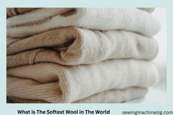 What is The Softest Wool in The World