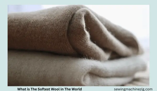 What is The Softest Wool in The World