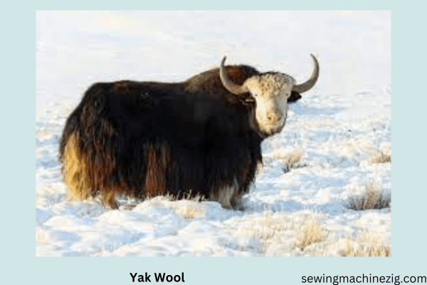 Yak Wool