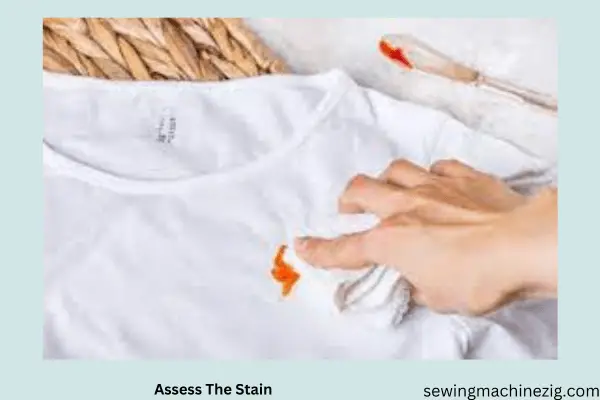 Assess The Stain