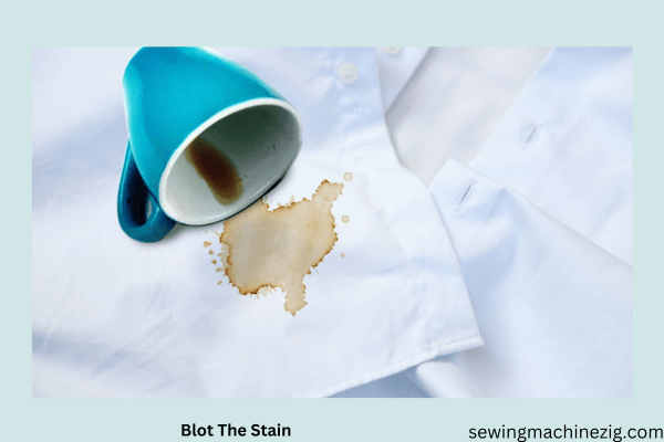 Blot The Stain