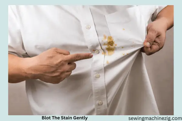 Blot The Stain Gently