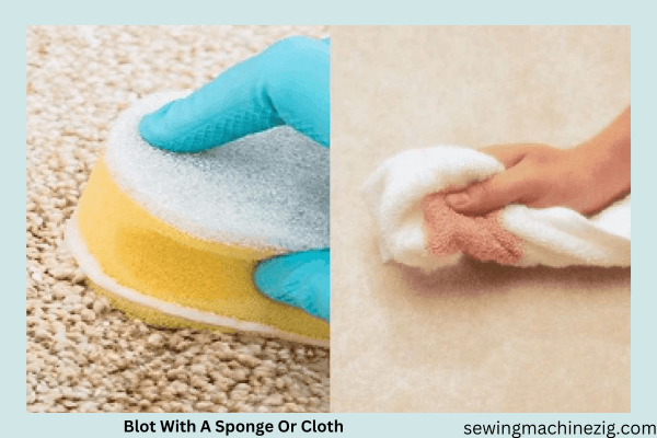 Blot With A Sponge Or Cloth