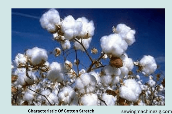 Characteristic Of Cotton Stretch