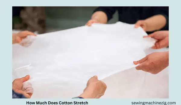 How Much Does Cotton Stretch 20 Ways Shirt/Pant (2023)-SewingMachineZig