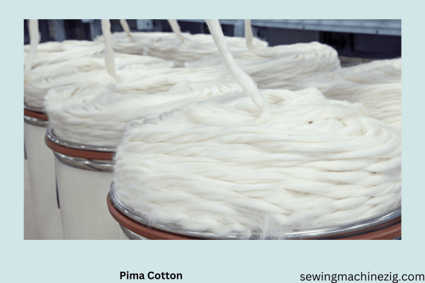 Pima Cotton