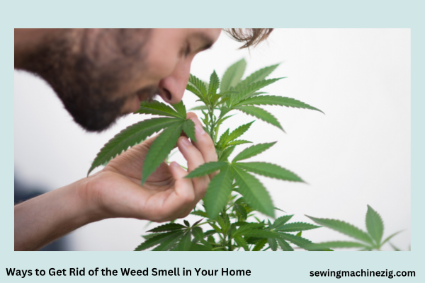 Ways to Get Rid of the Weed Smell in Your Home