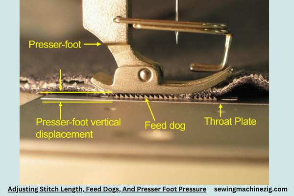 Adjusting Stitch Length Feed Dogs And Presser Foot Pressure