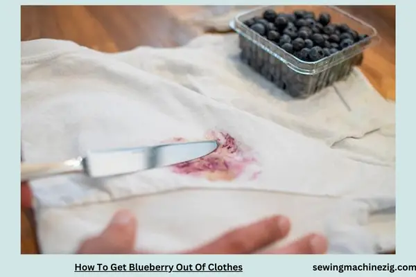 How To Get Blueberry Out Of Clothes 1