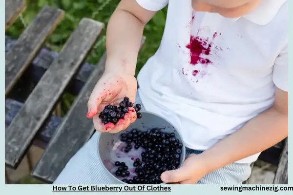 How To Get Blueberry Out Of Clothes